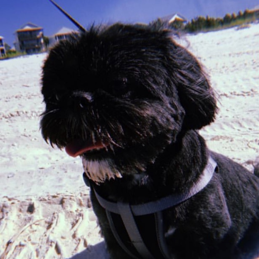 Meet your Posher, Kelley